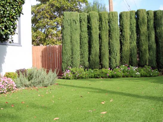 Artificial Grass Photos: Outdoor Carpet Vaughn, Washington Backyard Deck Ideas, Front Yard Ideas