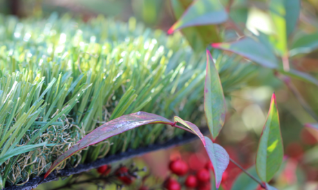 Synthetic Turf For Back Yards