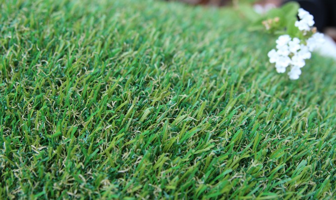 Petgrass-55 syntheticgrass Artificial Grass Seattle, Washington