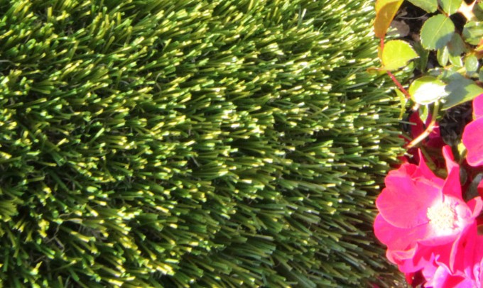 V Blade-77 syntheticgrass Artificial Grass Seattle, Washington