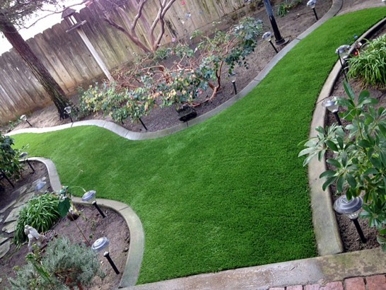 Artificial Grass Photos: Plastic Grass Arlington, Washington Landscape Photos, Backyard Makeover