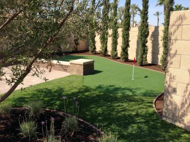 Artificial Grass Photos: Plastic Grass Brush Prairie, Washington Putting Green, Backyard Design