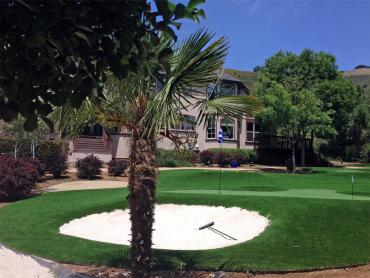 Artificial Grass Photos: Plastic Grass Cottage Lake, Washington Lawn And Garden, Front Yard