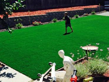 Artificial Grass Photos: Plastic Grass Custer, Washington Garden Ideas, Backyard Landscape Ideas