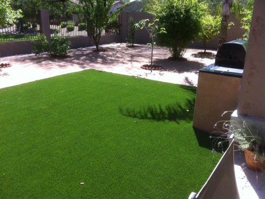 Artificial Grass Photos: Plastic Grass Darrington, Washington Roof Top, Backyard Design