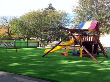 Artificial Grass Photos: Plastic Grass East Renton Highlands, Washington Gardeners, Commercial Landscape