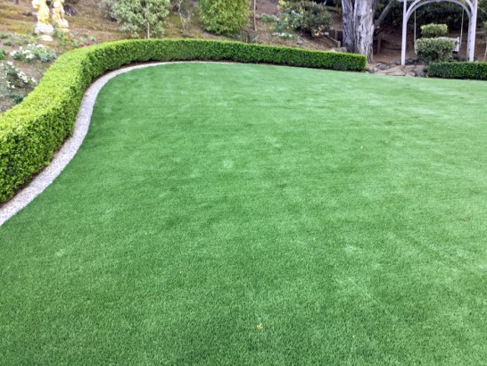 Artificial Grass Photos: Plastic Grass Eatonville, Washington Lawn And Garden, Backyard Makeover