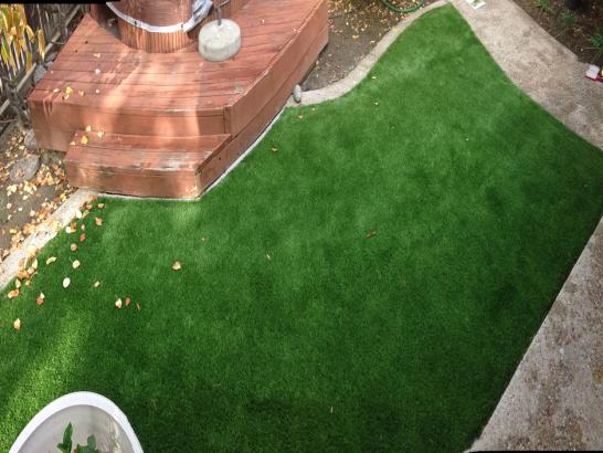 Artificial Grass Photos: Plastic Grass Edgewood, Washington Paver Patio, Backyard Landscaping