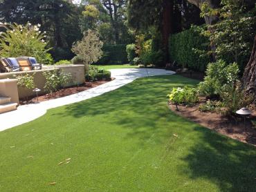 Artificial Grass Photos: Plastic Grass Gold Bar, Washington Backyard Deck Ideas, Beautiful Backyards