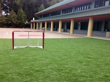 Artificial Grass Photos: Plastic Grass Maple Falls, Washington Stadium, Commercial Landscape