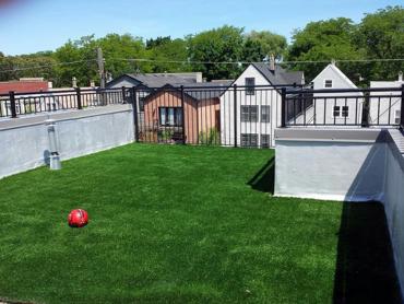 Artificial Grass Photos: Plastic Grass North Bend, Washington Gardeners, Veranda