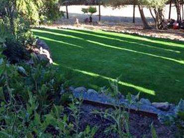 Artificial Grass Photos: Plastic Grass Ocean City, Washington Lawn And Garden, Backyard Designs