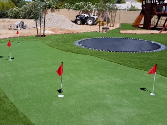 Artificial Grass Photos: Plastic Grass Orcas, Washington How To Build A Putting Green, Backyard Design