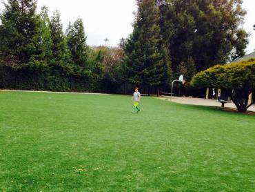 Artificial Grass Photos: Plastic Grass Oyehut, Washington Football Field, Recreational Areas