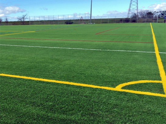 Artificial Grass Photos: Plastic Grass Port Townsend, Washington Stadium