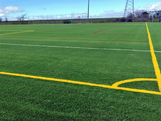 Artificial Grass Photos: Plastic Grass Port Townsend, Washington Stadium