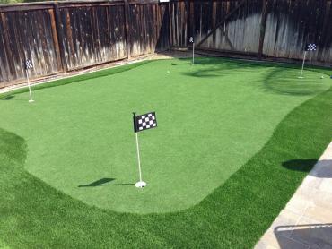 Artificial Grass Photos: Plastic Grass Poulsbo, Washington Landscape Photos, Backyard Designs