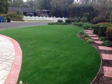 Artificial Grass Photos: Plastic Grass Rainier, Washington Paver Patio, Front Yard Ideas