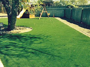 Artificial Grass Photos: Plastic Grass Toledo, Washington City Landscape, Backyard Landscape Ideas