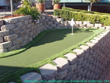 Plastic Grass Yarrow Point, Washington Landscaping Business, Small Backyard Ideas artificial grass