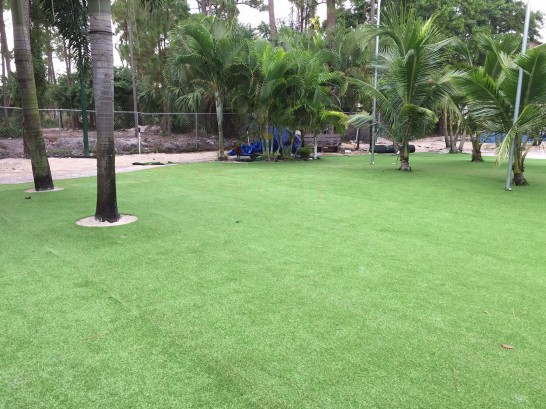 Artificial Grass Photos: Synthetic Grass Centralia, Washington Rooftop, Commercial Landscape