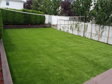 Artificial Grass Photos: Synthetic Grass Cost Coupeville, Washington City Landscape, Backyard Designs