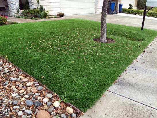 Artificial Grass Photos: Synthetic Grass Cost Key Center, Washington Landscaping Business, Front Yard Landscaping Ideas