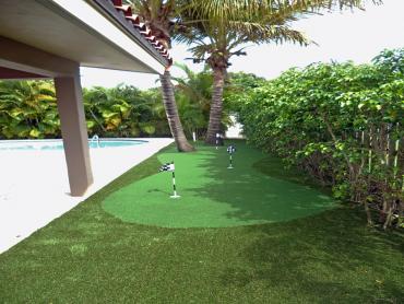 Artificial Grass Photos: Synthetic Grass Cost La Grande, Washington Lawn And Landscape, Backyard Garden Ideas