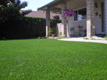 Artificial Grass Photos: Synthetic Grass Cost McKenna, Washington Lawns, Front Yard Landscaping Ideas