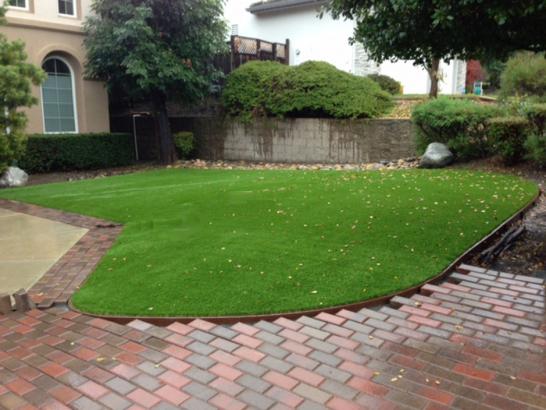 Artificial Grass Photos: Synthetic Grass Cost Navy Yard City, Washington Landscape Design, Front Yard Landscaping Ideas