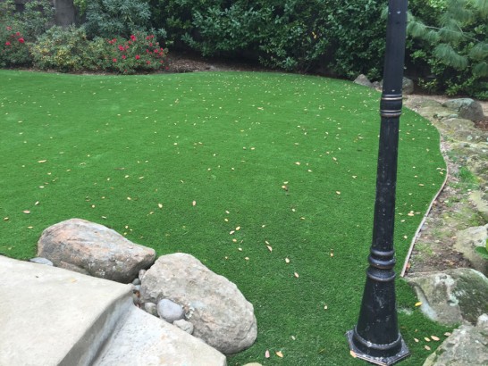 Artificial Grass Photos: Synthetic Grass Cost Oso, Washington Landscape Rock, Backyard