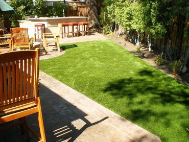 Artificial Grass Photos: Synthetic Grass Cost Snoqualmie, Washington Lawns, Backyard Design
