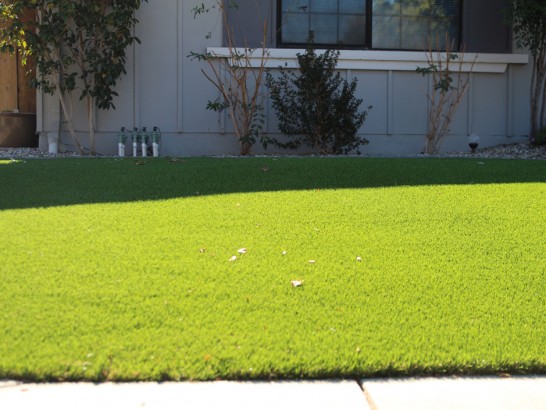 Artificial Grass Photos: Synthetic Grass Cost Tenino, Washington Landscape Ideas, Small Front Yard Landscaping