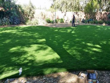 Artificial Grass Photos: Synthetic Grass Cost Twisp, Washington Gardeners, Backyard Design