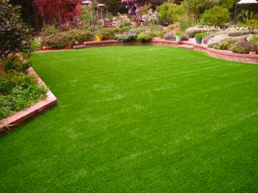 Artificial Grass Photos: Synthetic Grass Cost Waterville, Washington City Landscape, Backyard Garden Ideas