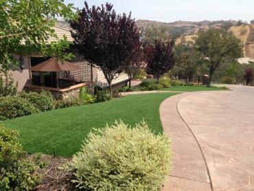 Artificial Grass Photos: Synthetic Grass Cost Weallup Lake, Washington Rooftop, Front Yard Ideas