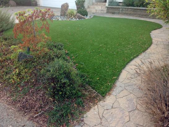 Artificial Grass Photos: Synthetic Grass Dash Point, Washington Dogs, Backyards