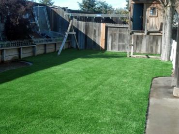 Artificial Grass Photos: Synthetic Grass East Cathlamet, Washington Landscaping Business, Backyard Landscape Ideas