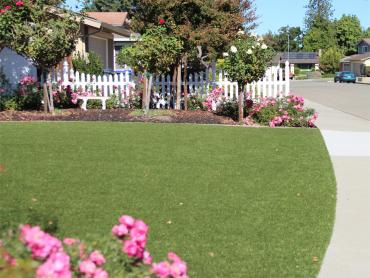 Artificial Grass Photos: Synthetic Grass Ephrata, Washington Lawns, Small Front Yard Landscaping