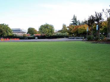 Artificial Grass Photos: Synthetic Grass George, Washington Athletic Playground