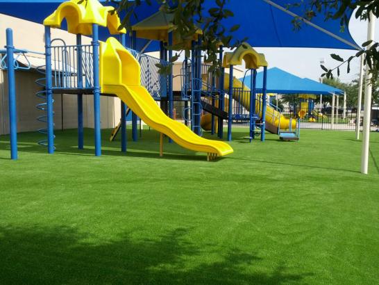 Artificial Grass Photos: Synthetic Grass Hartline, Washington Landscape Photos, Commercial Landscape