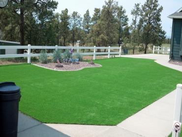 Artificial Grass Photos: Synthetic Grass Kent, Washington Landscaping, Front Yard Design