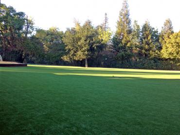Artificial Grass Photos: Synthetic Grass Lake Roesiger, Washington Landscaping, Parks