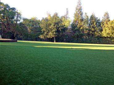 Artificial Grass Photos: Synthetic Grass Lake Roesiger, Washington Landscaping, Parks