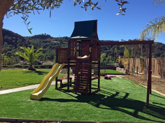 Artificial Grass Photos: Synthetic Grass Langley, Washington Home And Garden