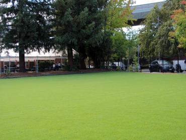 Artificial Grass Photos: Synthetic Grass Long Beach, Washington Lawns, Commercial Landscape