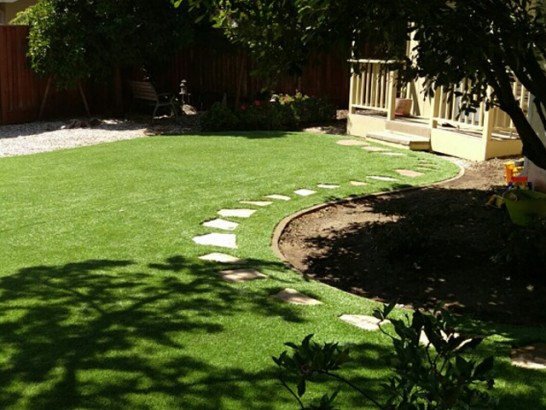 Synthetic Grass Napavine, Washington Landscaping, Backyard Design artificial grass