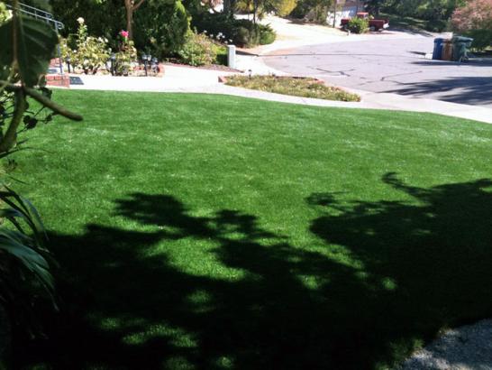 Artificial Grass Photos: Synthetic Grass Nespelem, Washington Backyard Playground, Front Yard Landscaping Ideas