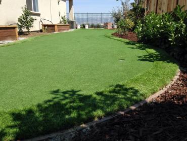 Artificial Grass Photos: Synthetic Grass Quilcene, Washington Landscape Ideas, Backyard Designs