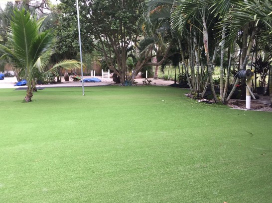 Artificial Grass Photos: Synthetic Grass Roslyn, Washington Landscape Photos, Commercial Landscape